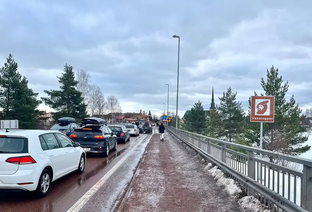 Arkivbild. Köer i Mora på väg 70.