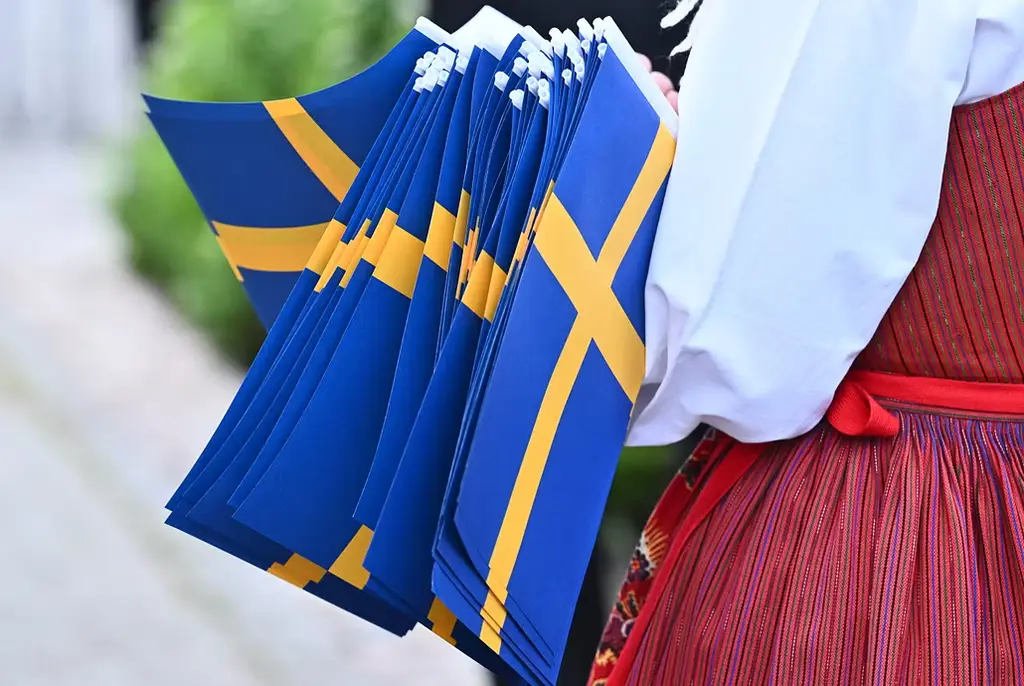 Illustrationsbild: Fanbärare i folkdräkt med svenska flaggan.