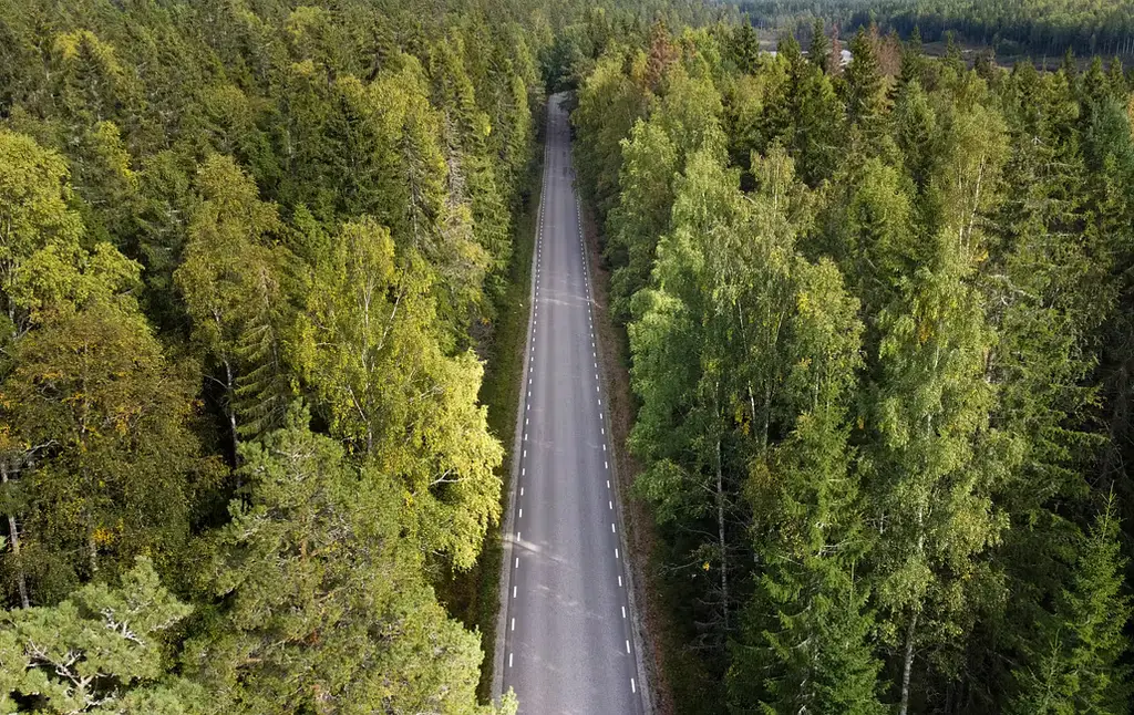 Skogsområde utanför Fagersta, arkivbild från 2023.