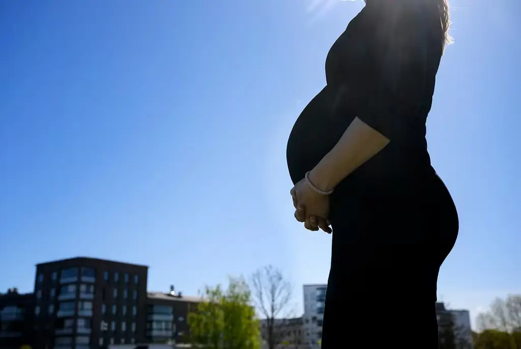 Stiftelsen Wellcome vill ge gravida och nyfödda större plats i klimatarbetet när Stillahavsländer möts i Fiji inför COP31 i Turkiet.