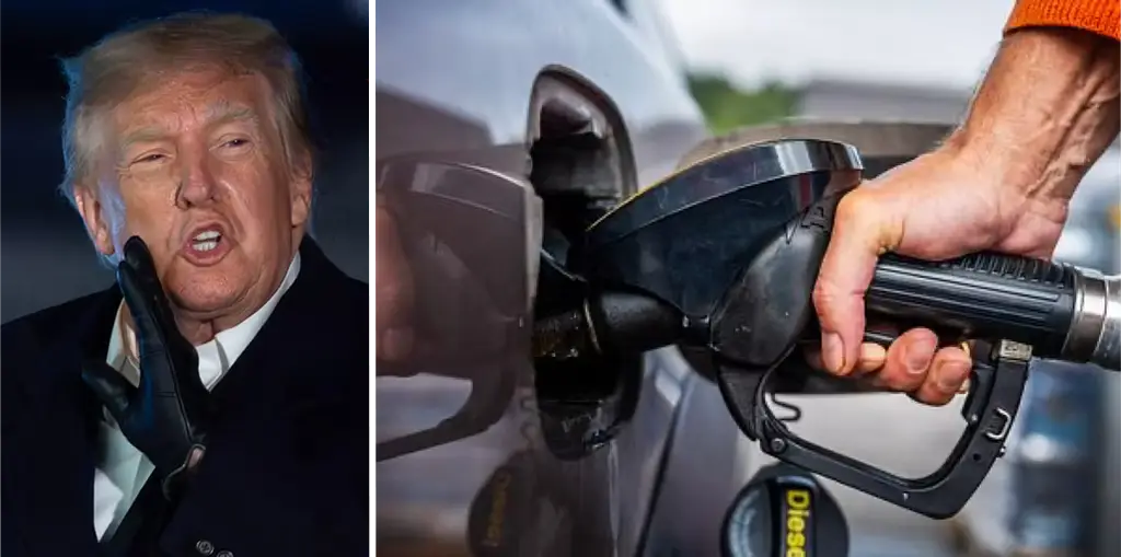 Donald Trump 8 oktober, genrebild. 